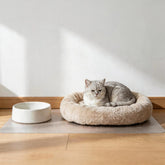 Frosted PVC mat for pet bed areas, waterproof and scratch-resistant floor protector for dogs and cats.