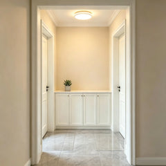 Clear PVC entrance mat, heavy-duty floor protector for doorways and high-traffic indoor entry areas.