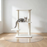 Round clear PVC mat for under cat trees, waterproof floor protector to catch litter and pet hair.