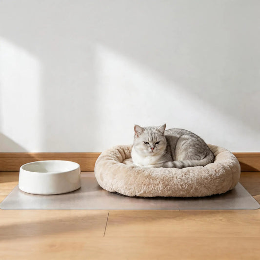 Frosted PVC mat for pet bed areas, waterproof and scratch-resistant floor protector for dogs and cats.